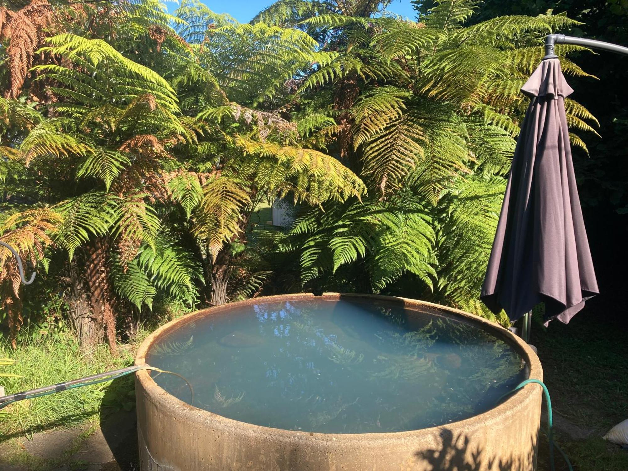 טוראנגי Whare&Geothermal Pool By Lake Taupo מראה חיצוני תמונה